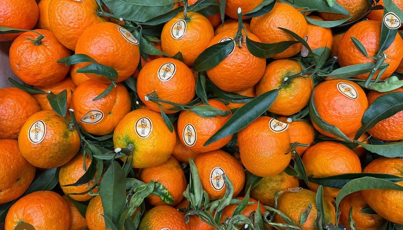 Leafy clementines in peak season