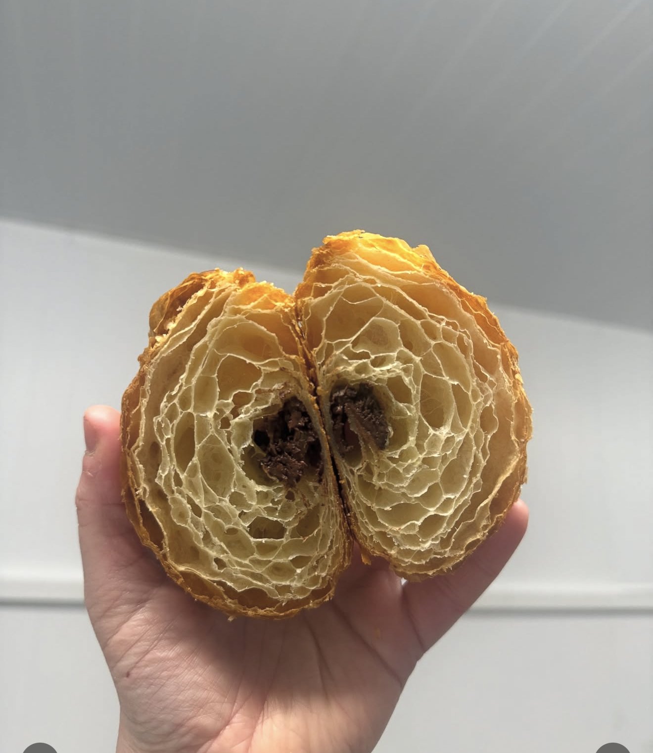 Croissant cross-section showing honeycomb lamination