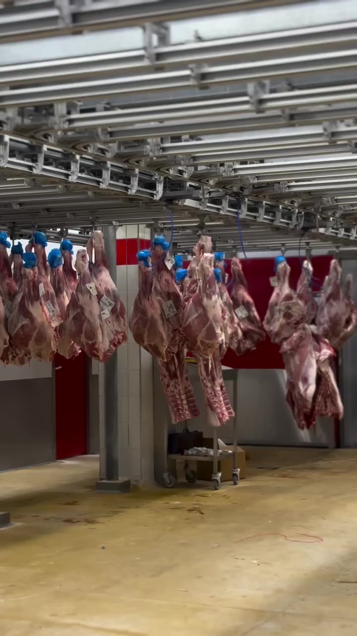 Whole carcasses hanging in the Rungis meat pavilion